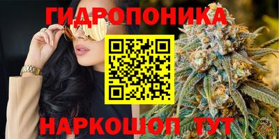 герыч Гай