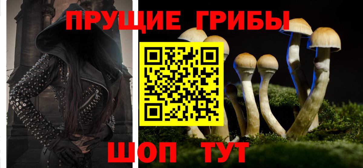 Псилоцибиновые грибы мицелий  Вход с VPN  Галлюциногенные грибы мухоморы  Усолье-Сибирское 